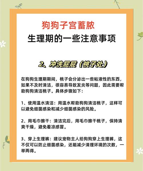 宠物指甲护理优化误区!护理周期判断