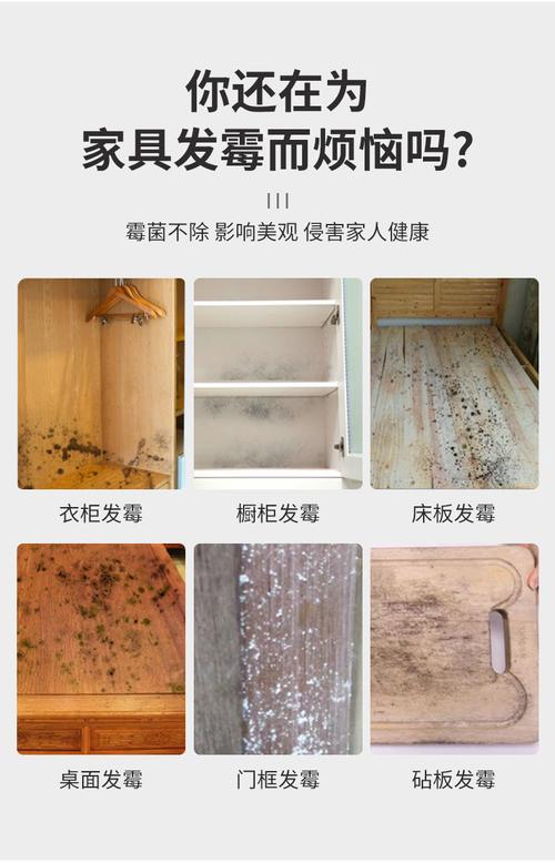 衣柜发霉怎么办？天然防潮法大公开