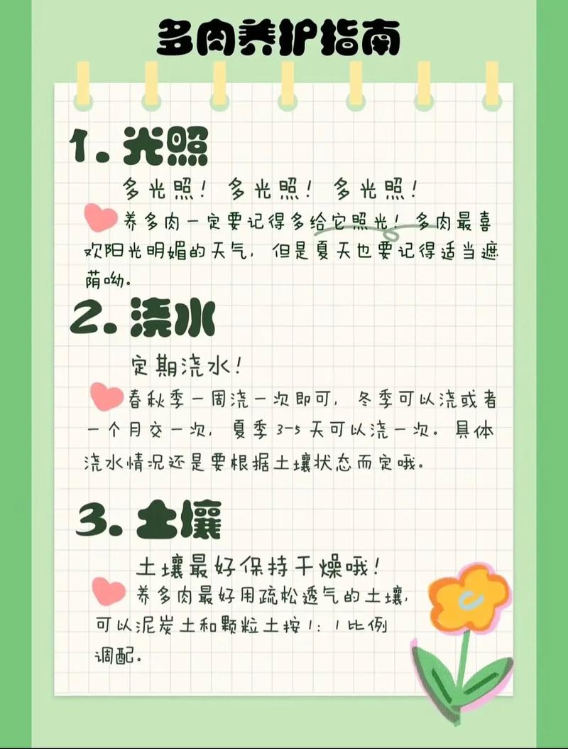 多肉养护？少浇水多晒太阳！