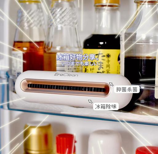 冰箱除异味神器！天然又环保