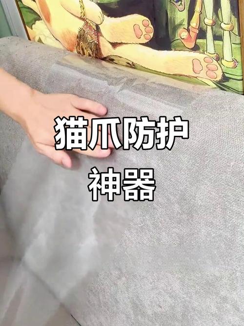 猫咪抓家具怎么办？训练和防护技巧