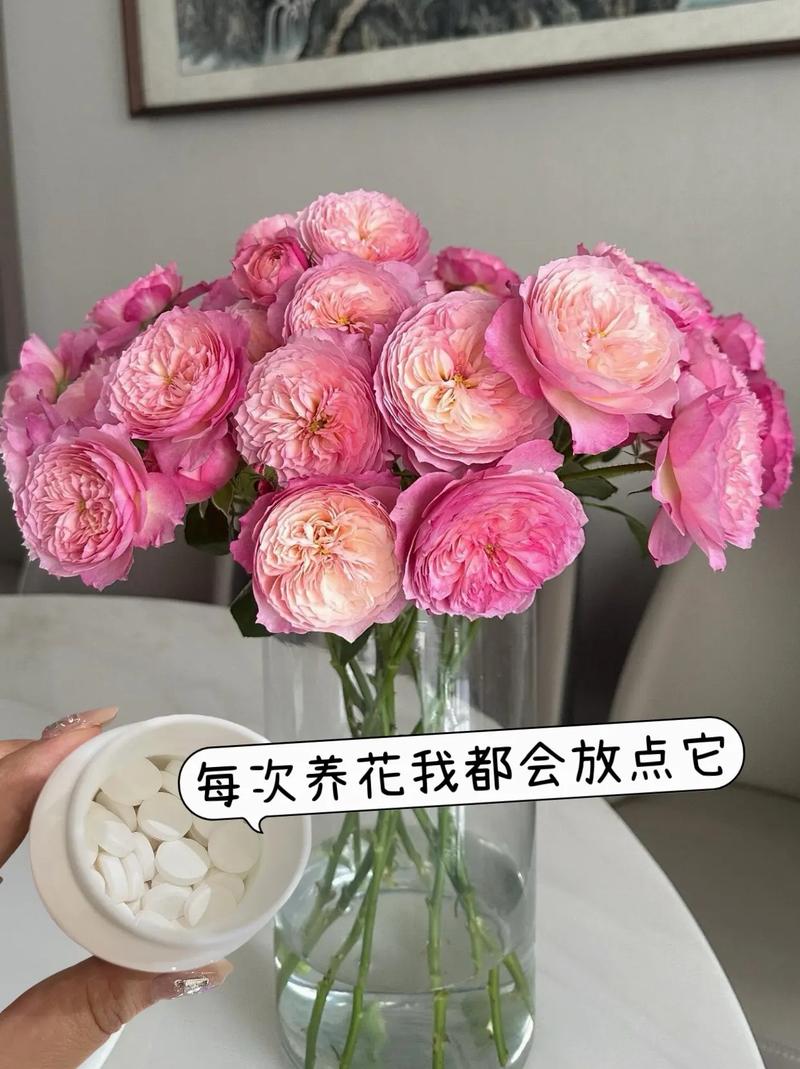 鲜花延长花期？剪根+换水+加阿司匹林！
