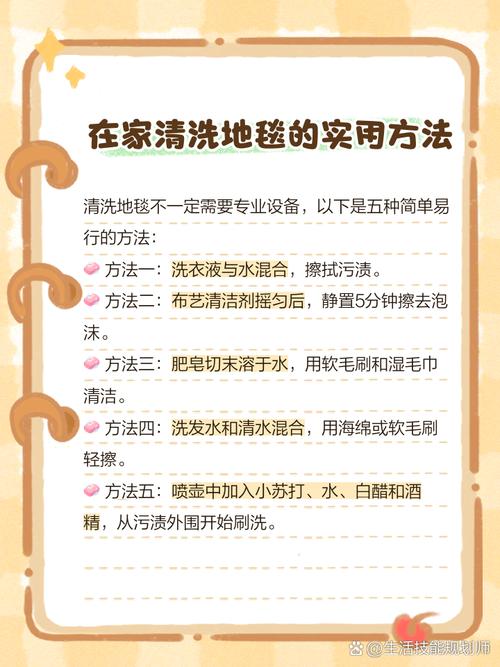羊毛地毯除尘误区！错误工具 + 正确方法