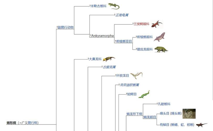 恐龙时代的植物演化