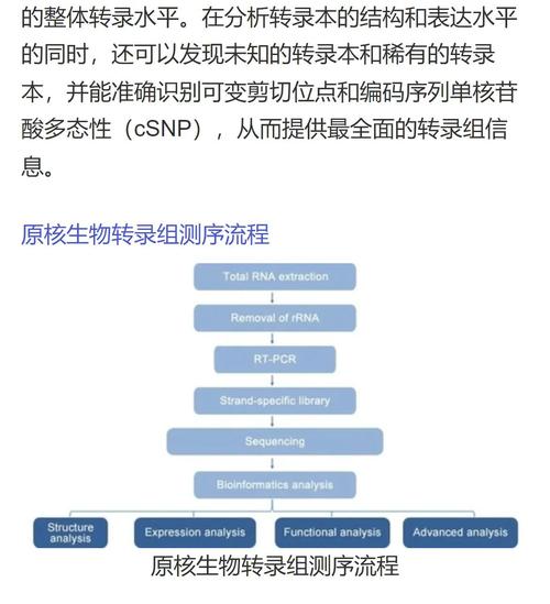 基因测序如何指导疾病预防？精准医学进展