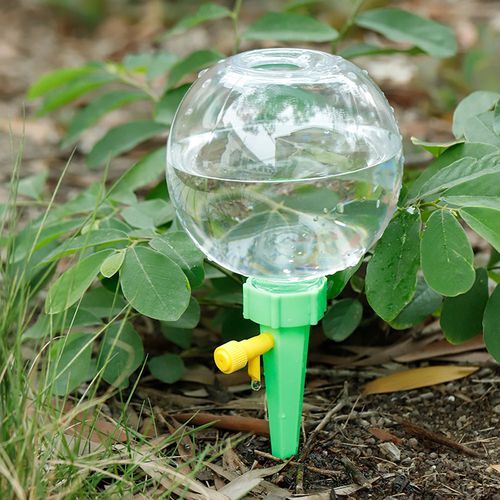 多肉植物浇水神器!自动滴灌系统 DIY
