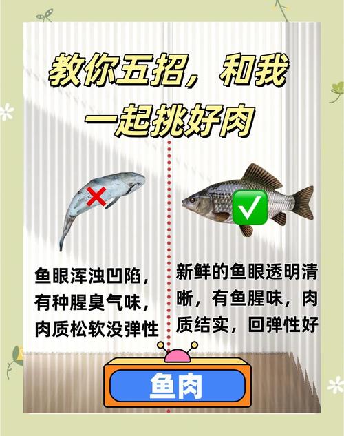 如何挑选新鲜的肉类?屠宰场师傅的秘诀