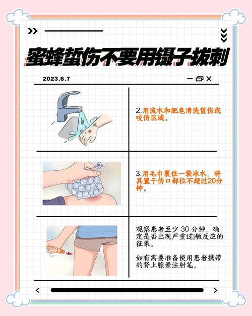 蜂蛰毒刺残留检测?放大镜观察法
