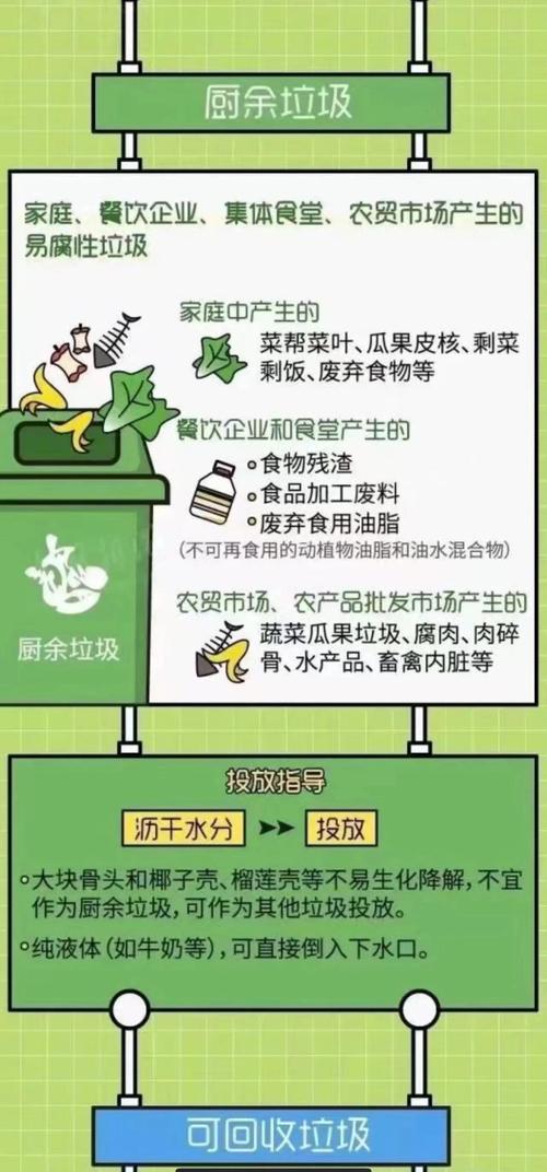 如何正确进行垃圾分类？环境科学指南