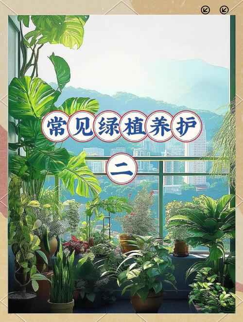 绿植养护全攻略:让家充满自然气息