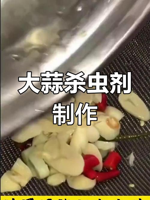花盆驱虫?埋「大蒜」
