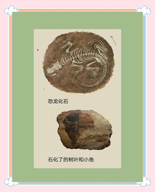 恐龙化石中的DNA能否被提取?古生物学与生物技术