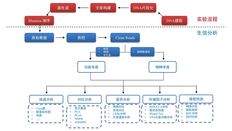 基因测序如何指导个性化医疗?精准医学进展