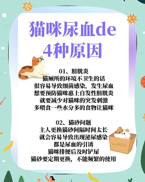 猫咪应激尿血？喂食「应激舒缓剂」