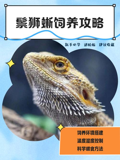 鬃狮蜥 UVB 灯更换周期?半年衰减测试