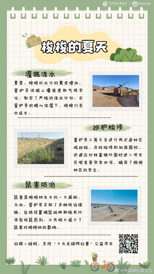 沙漠植物如何传播种子至远方？植物生态学策略