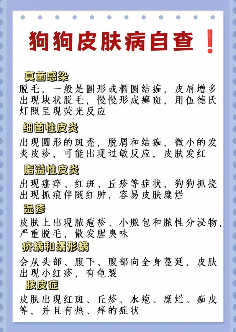 识别宠物常见不适症状