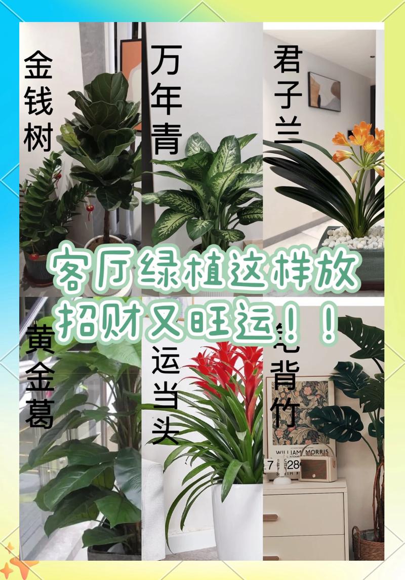 绿植摆放风水：提升家居运势的隐藏技巧