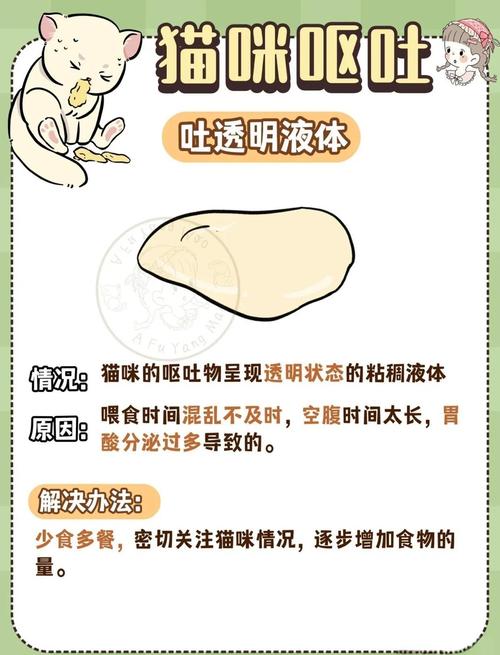 猫咪呕吐怎么办?常见原因和处理方法