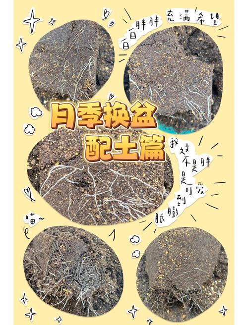 花盆土壤搭配!植物健康基础