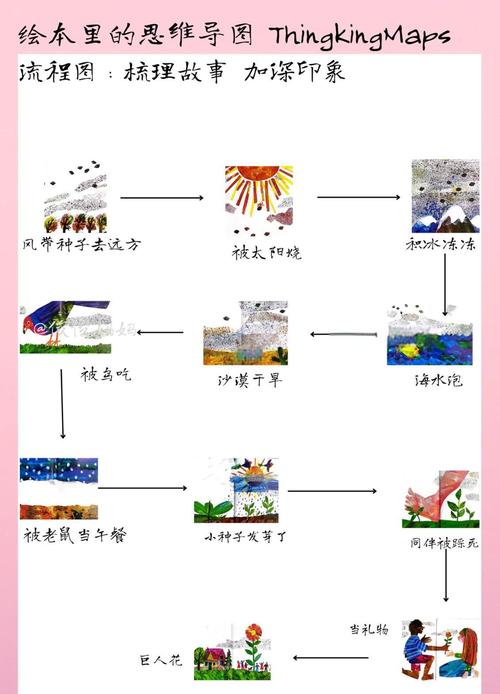 沙漠植物如何传播种子？植物生态学策略