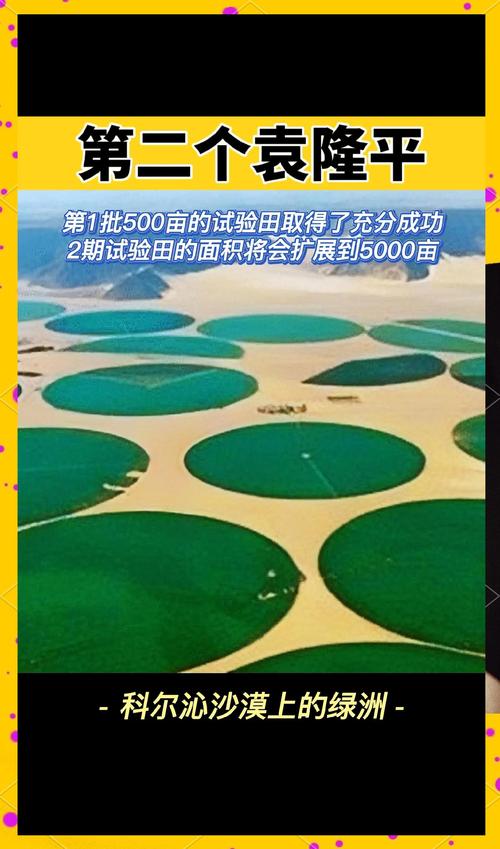 沙漠绿洲如何形成独特生态系统?地理学研究