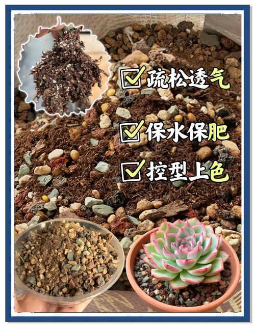 多肉植物配土优化误区！土壤成分解析