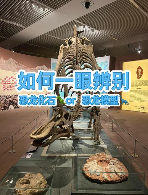 恐龙足迹化石如何判断行走速度?古生物学技术
