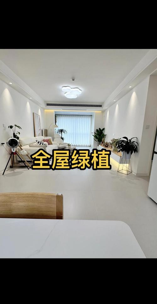 绿植养护新攻略:让家充满自然气息
