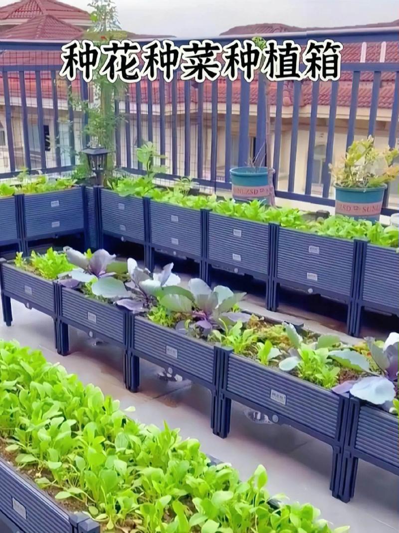 阳台小菜园?种植箱分层利用空间!