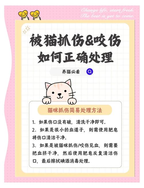 被宠物咬伤抓伤处理