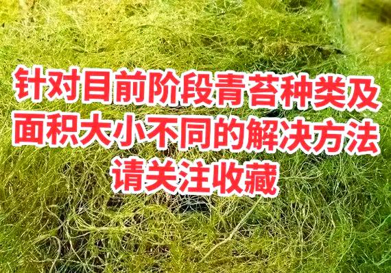 盆栽土表长青苔？撒一层肉桂粉抑制！