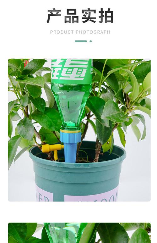 塑料瓶制浇花器?瓶盖「戳细孔」渗水